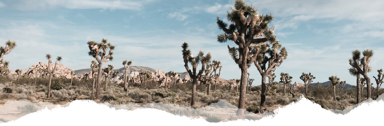 Barbary Sheep Desert Image 1